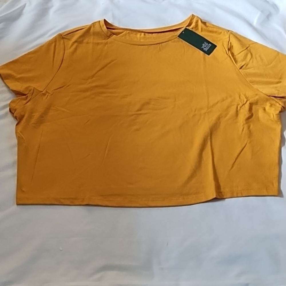 NWT Wild Fable Crop Top Sz3X